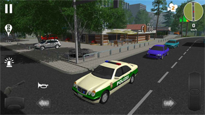 Ѳģٷ(Police Patrol Simulator)ذ׿