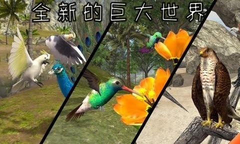 ӥģ