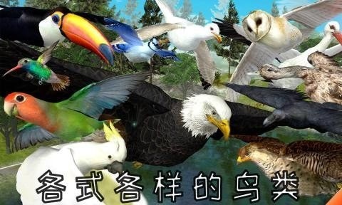 ӥģİ޾