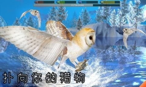 ӥģİذװ