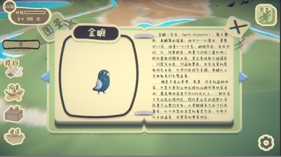 ֮ɭֻ